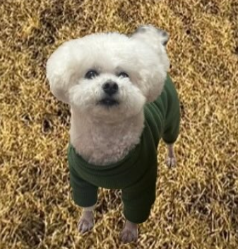 おかげさまで創業75周年♪