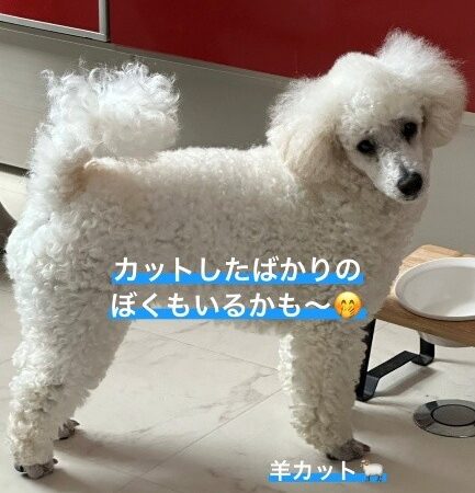 6月 イベントのお知らせ!